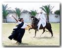 Caballo de Paso Peruano